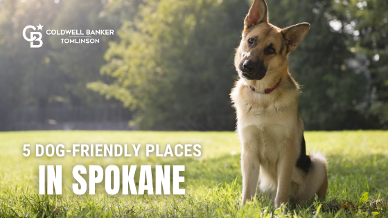 Spokane Dog-Friendly Spots