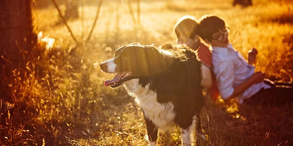 Kootenai County Real Estate Market Report - March 2026 Image